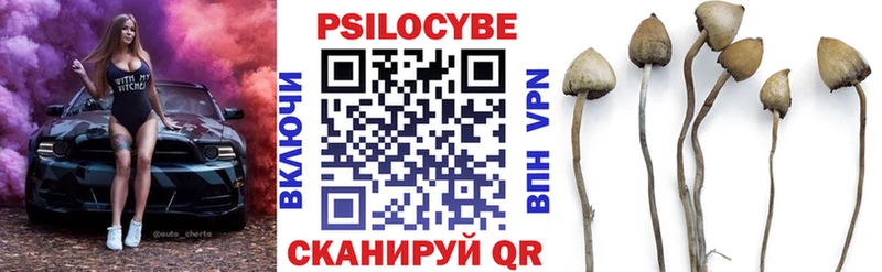 Купить  Отрадная  Галлюциногенные грибы Magic Shrooms 